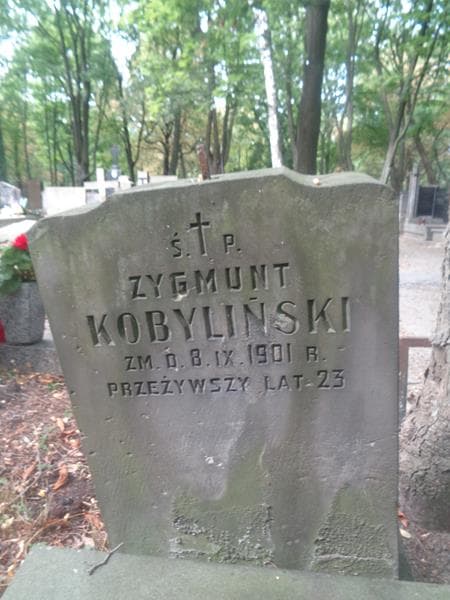 Zdjęcie grobu Zygmunt Kobyliński (2)