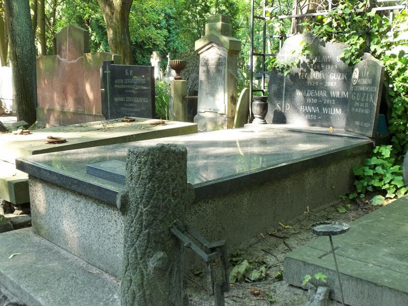 Zdjęcie grobu Mieczysław Guzik (1)