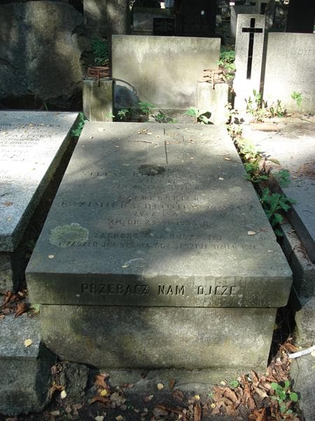 Zdjęcie grobu Stefan Bogdanowicz (1)