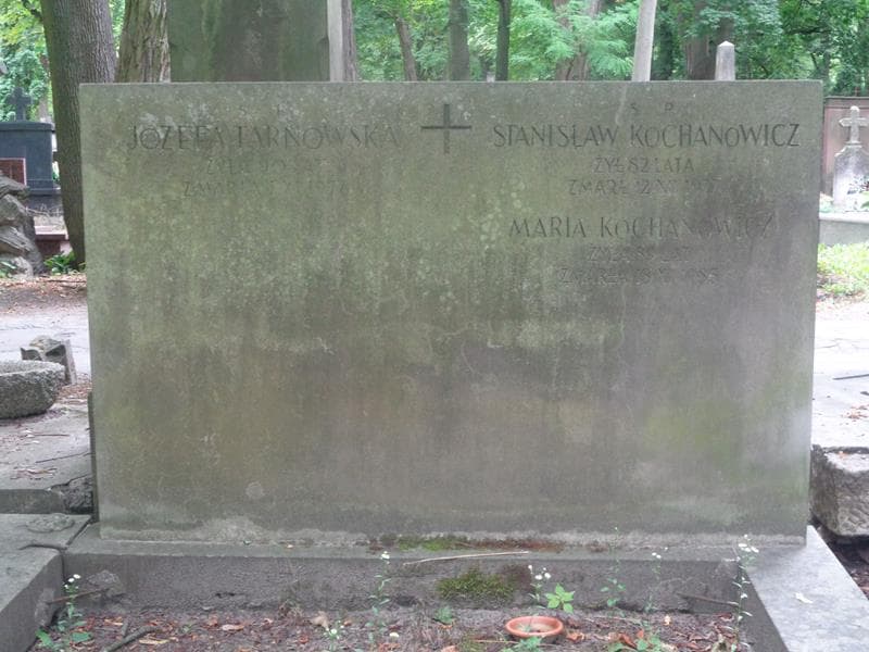 Zdjęcie grobu Stanisław Kochanowicz (2)