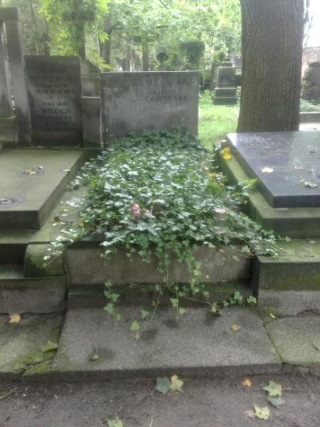Zdjęcie grobu: Stanisława Czerwińska