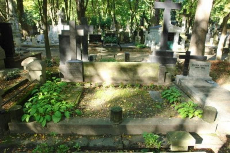 Zdjęcie grobu: Antonina Górzyna