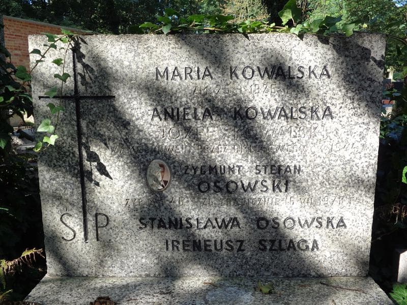 Zdjęcie grobu Zygmunt Stefan Osowski (2)