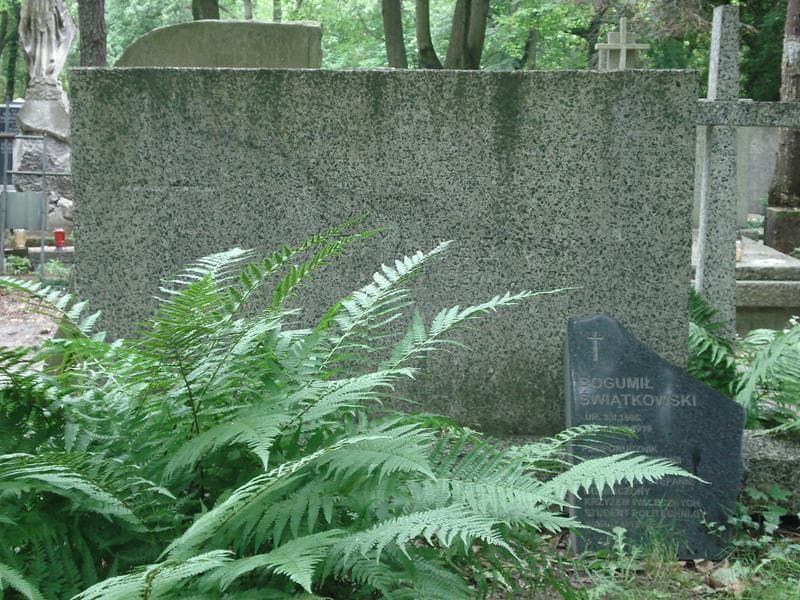 Zdjęcie grobu Zofia Dębińska (2)