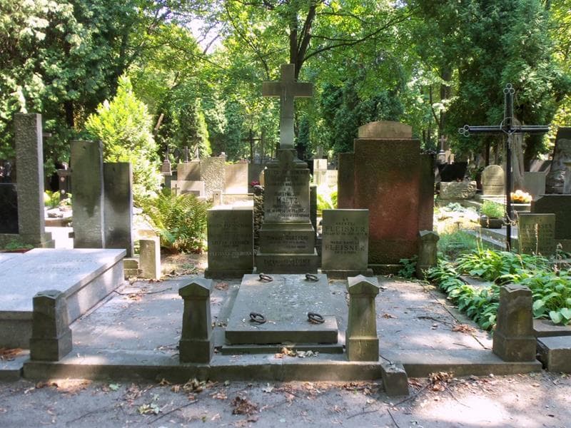 Zdjęcie grobu Andrzej Fleisner (1)