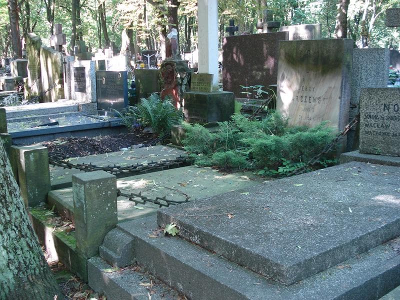 Zdjęcie grobu Jerzy Marczewski (1)