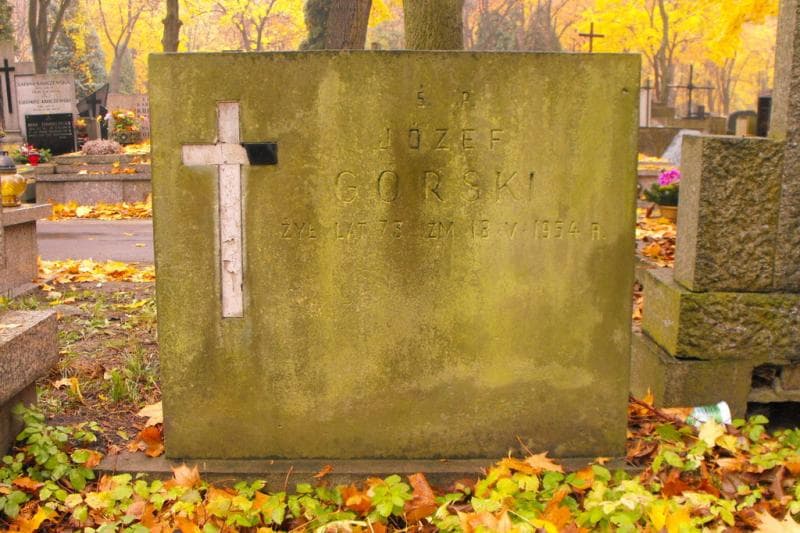 Zdjęcie grobu Józef Górski (2)