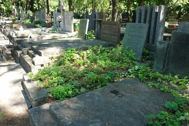 Zdjęcie grobu: Eugeniusz Budkiewicz