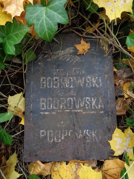 Zdjęcie grobu Stanisław Bobrowski (2)
