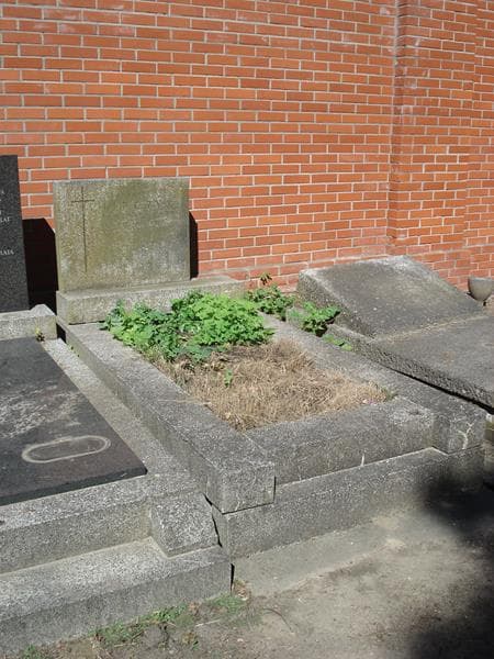 Zdjęcie grobu Bronisław Lipczyk (1)