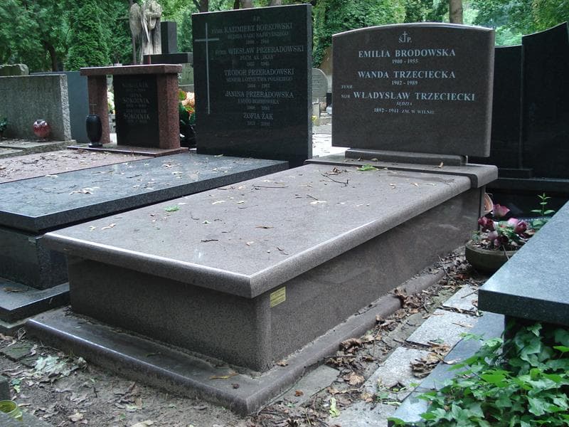 Zdjęcie grobu Emilia Brodowska (1)