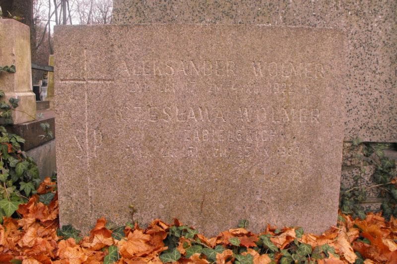 Zdjęcie grobu Aleksander Wolmer (1)
