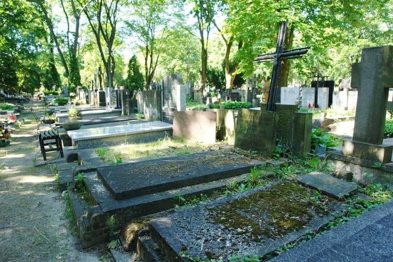 Zdjęcie grobu: Waleria Olejnik