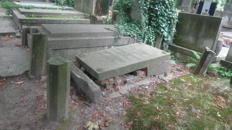 Zdjęcie grobu: Józef Domoradzki