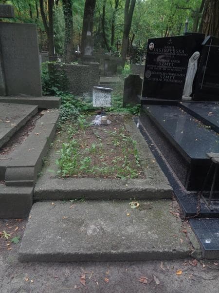 Zdjęcie grobu Zosia Cieślak (1)
