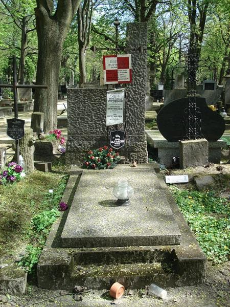 Zdjęcie grobu: Jadwiga Guttmejer