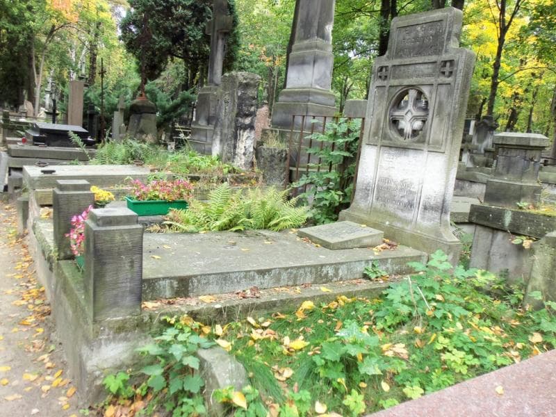 Zdjęcie grobu Jerzy Mikulski (1)