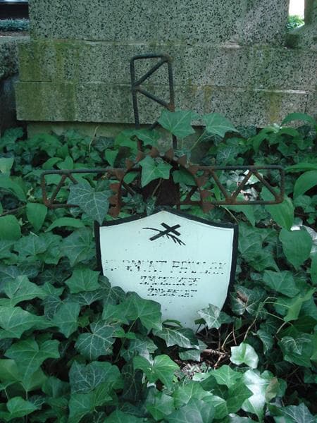 Zdjęcie grobu Zygmunt Pawlak (1)