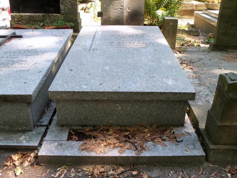 Zdjęcie grobu Zofia Zachara (1)