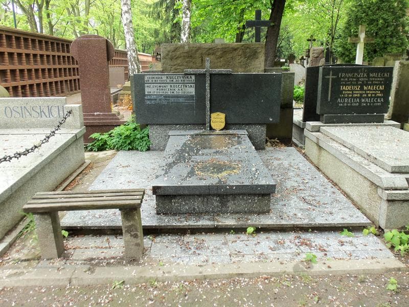 Zdjęcie grobu: Leokadia Kulczyńska