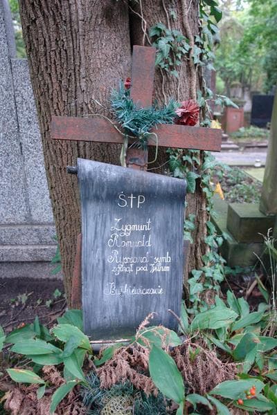 Zdjęcie grobu Romuald Butkiewicz (2)