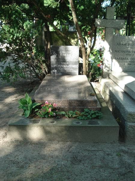 Zdjęcie grobu: Jan Firewicz