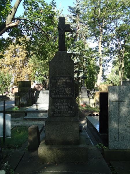 Zdjęcie grobu Ludwik Przyborowski (2)