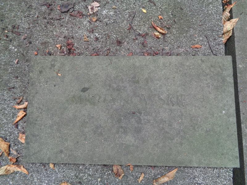 Zdjęcie grobu Stefa Martynowska (2)