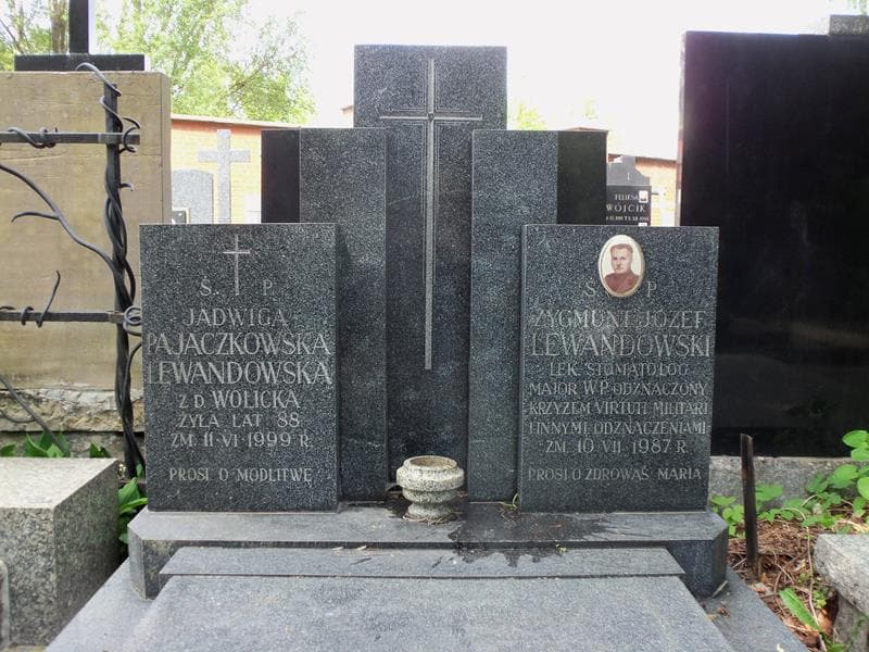 Zdjęcie grobu Zygmunt Józef Lewandowski (2)