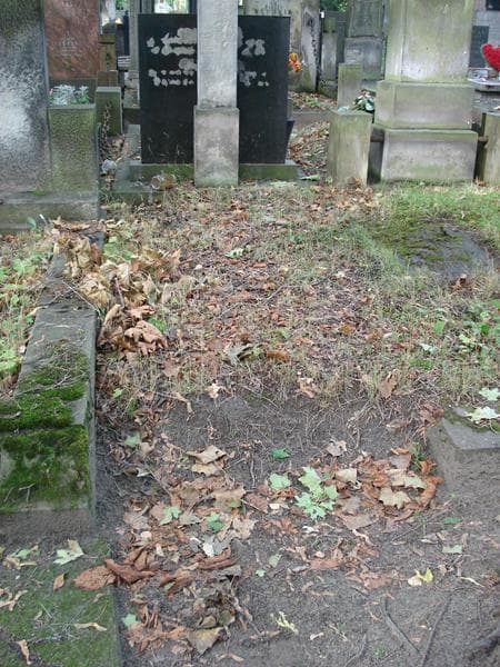 Zdjęcie grobu: Pole Grobowe