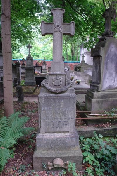 Zdjęcie grobu Albert Krzyżanowski (2)
