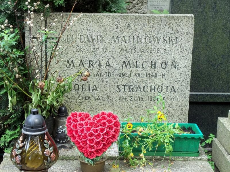 Zdjęcie grobu Zofia Strachota (2)
