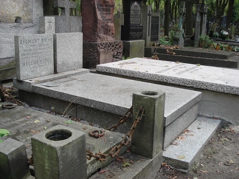 Zdjęcie grobu: Zygmunt Biske