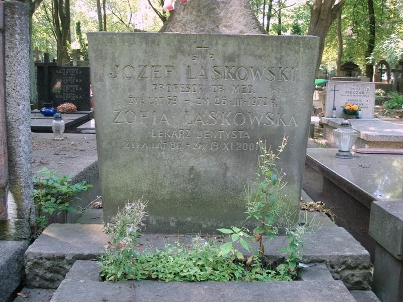 Zdjęcie grobu Zofia Laskowska (2)