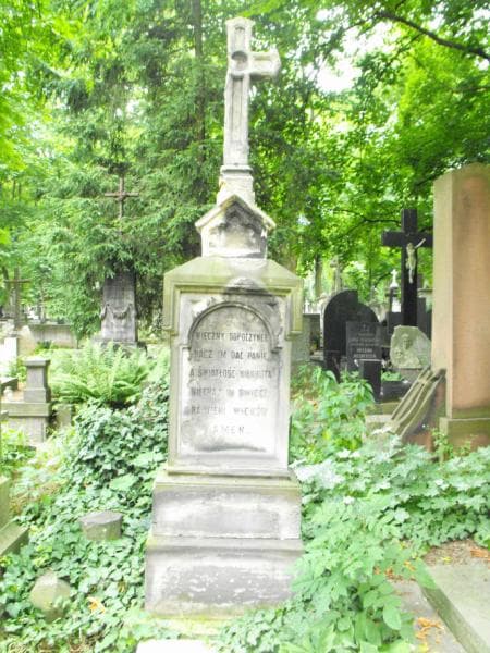 Zdjęcie grobu Juljan Paszkowski (2)