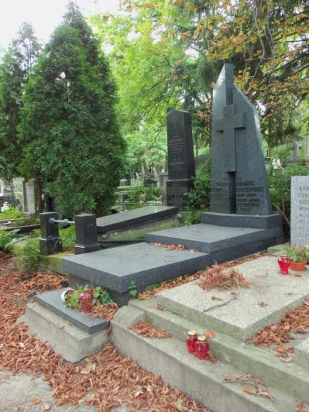 Zdjęcie grobu Henryk Kuczyński (1)