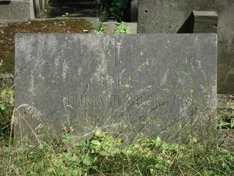 Zdjęcie grobu Feliks Oliwiecki (1)