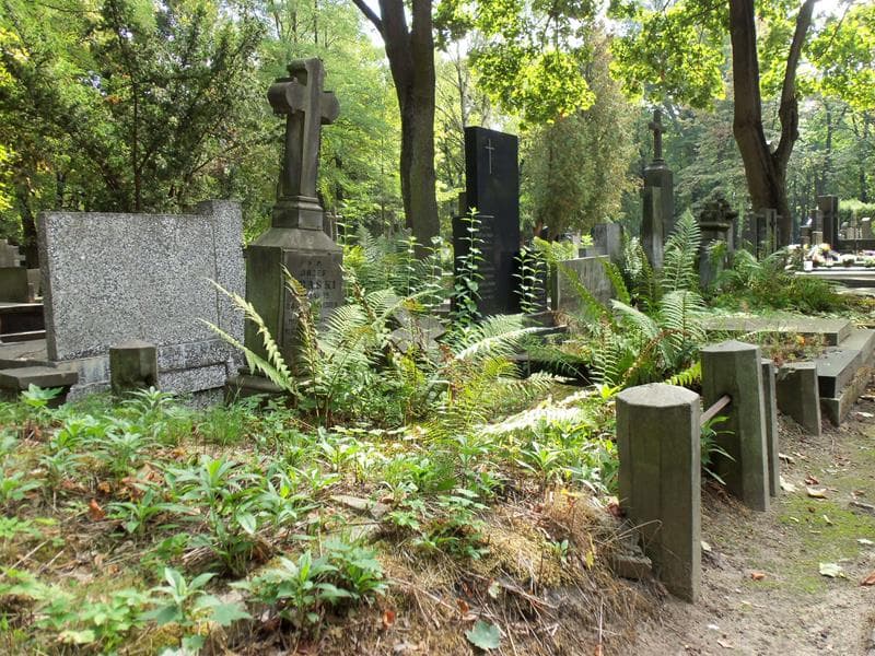 Zdjęcie grobu Józef Zbąski (1)