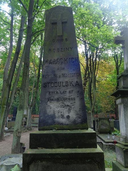 Zdjęcie grobu Karolina Stodulska (2)