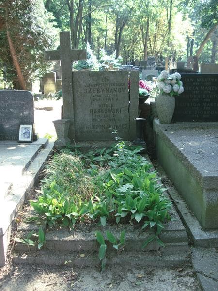 Zdjęcie grobu: Witold Barkowski