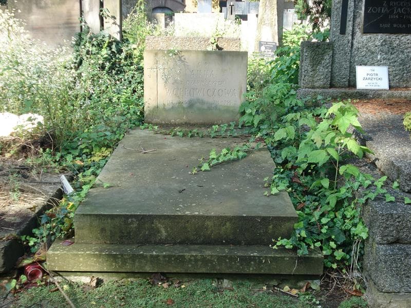 Zdjęcie grobu: Anna Wołłowiczowa