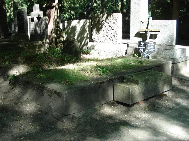 Zdjęcie grobu Henryka Kurnatowska (1)