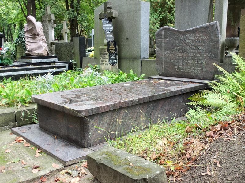 Zdjęcie grobu Jadwiga Bryling (1)