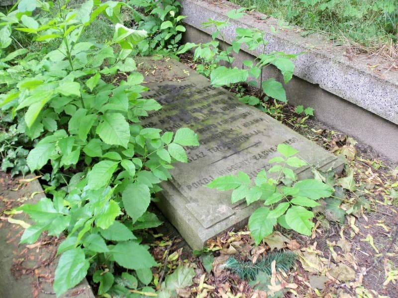 Zdjęcie grobu Kazimierz Rudnicki (1)