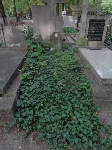 Zdjęcie grobu Jan Jagodziński (1)