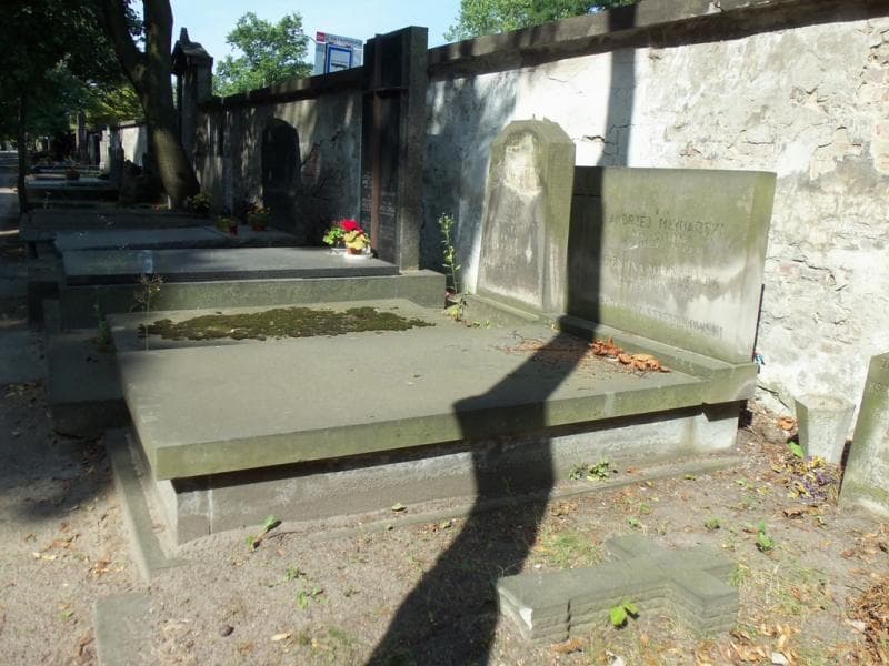 Zdjęcie grobu Władysław Stypułkowski (1)