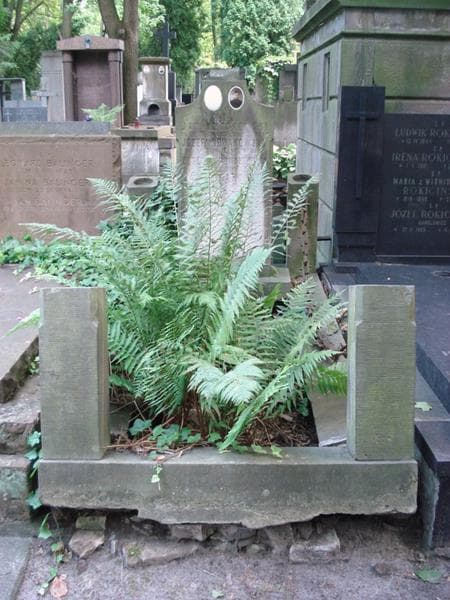 Zdjęcie grobu Jan Nowakowski (1)
