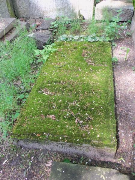 Zdjęcie grobu Henryk Słoński (2)