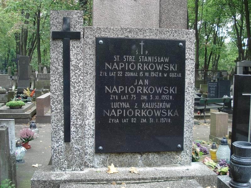 Zdjęcie grobu Jan Napiórkowski (2)