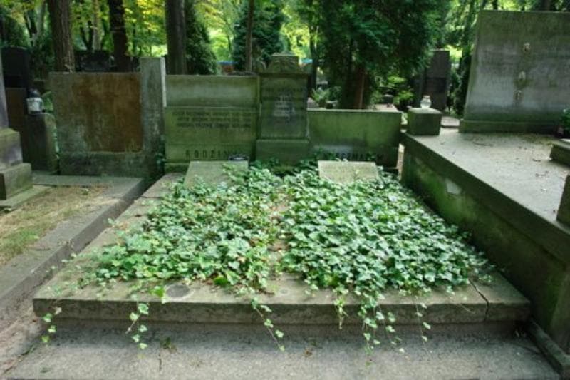 Zdjęcie grobu: Bronisława Axerowa